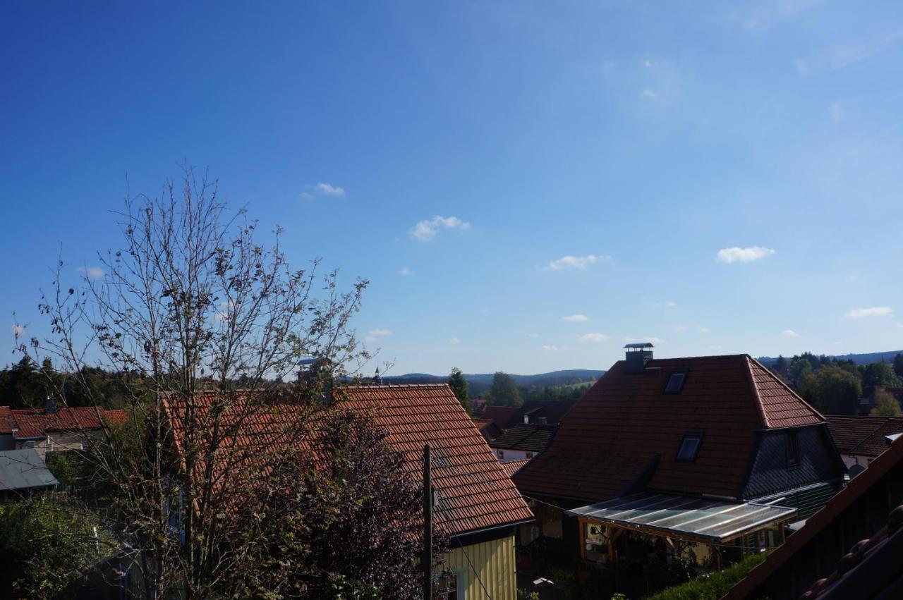 Ferienwohnung Zuendholz Benneckenstein Bagian luar foto